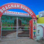 Bragnam Bunnies Play School Ward No.2 Badi, Himachal Pradesh(H.P) Bragnam Bunnies Preschool Ward No.2 Badi, Himachal Pradesh(H.P)